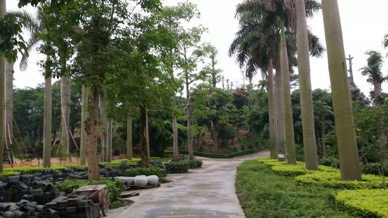 南宫集团(中国区)有限公司官网